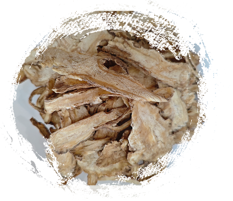 Apa yang Membuat Tanaman Herbal TCM Begitu Berkhasiat? Fitur-fiturnya Dijelaskan