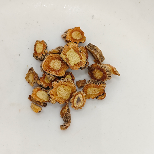 Saposhnikovia divaricata