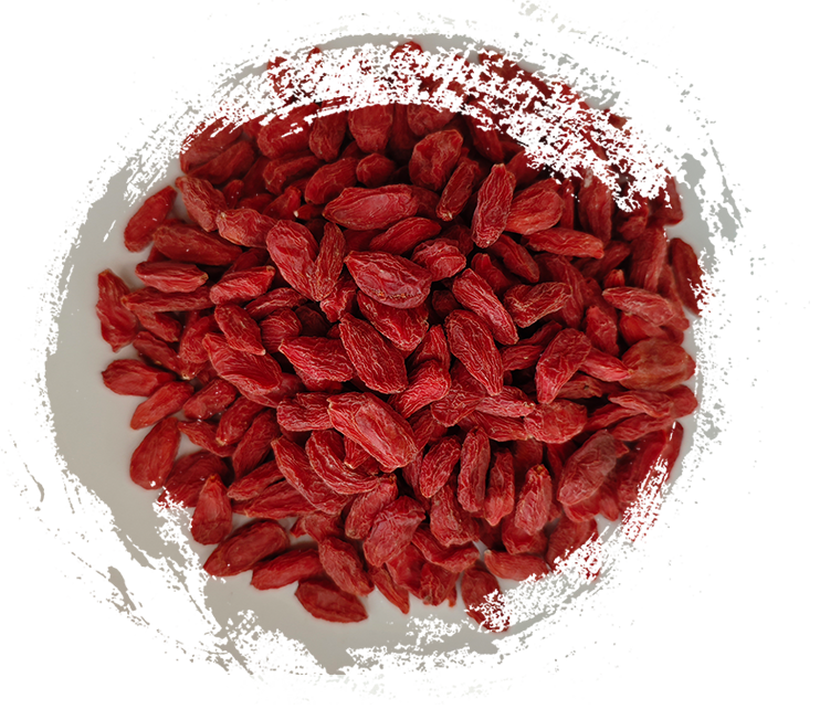 Panduan Lengkap Tanaman dalam Pengobatan Tradisional Tiongkok: Kegunaan, Manfaat, dan Aplikasi