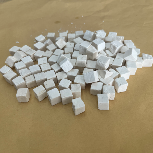 Wolfiporia extensa (jamur pelapuk kayu)