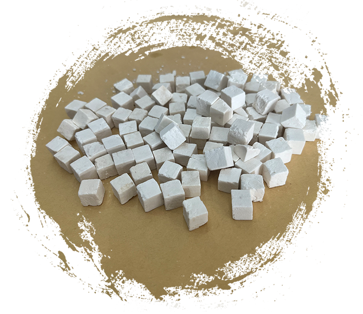 Wolfiporia extensa (jamur pelapuk kayu)