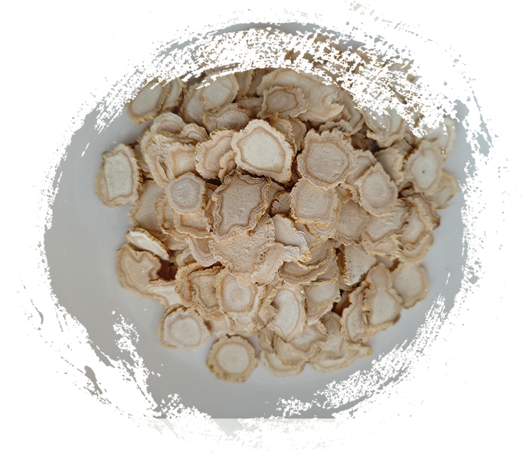 Ginseng Cina