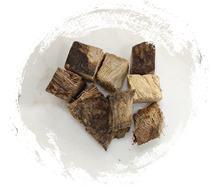 Buah Pueraria lobata