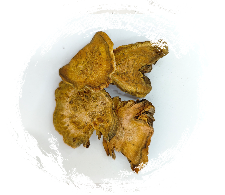 Menyelam mendalam ke penggunaan tanaman obat dalam pengobatan tradisional Cina