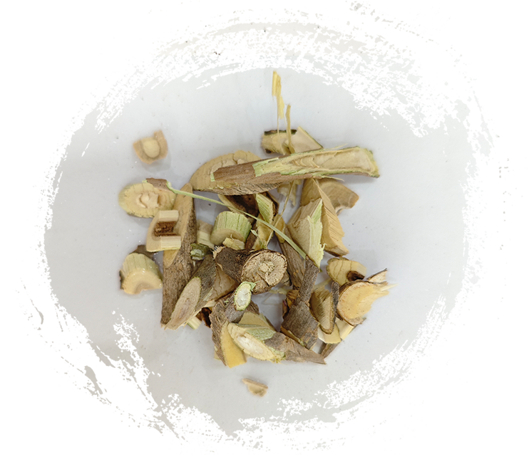 Banyak duri (Acanthopanax senticosus)