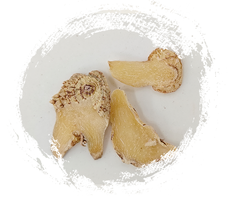 Bunga Bletilla striata