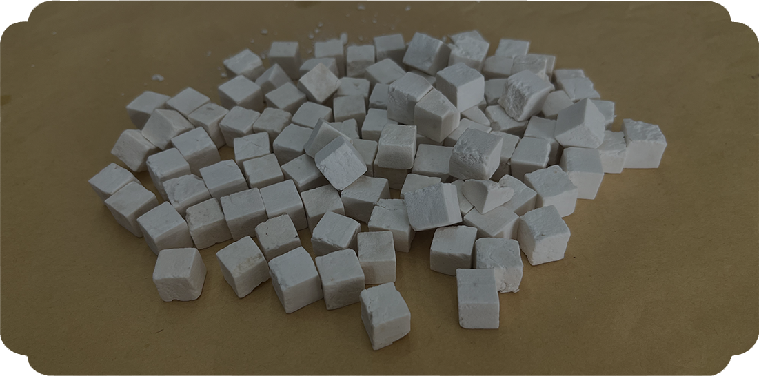 Wolfiporia extensa (jamur pelapuk kayu)