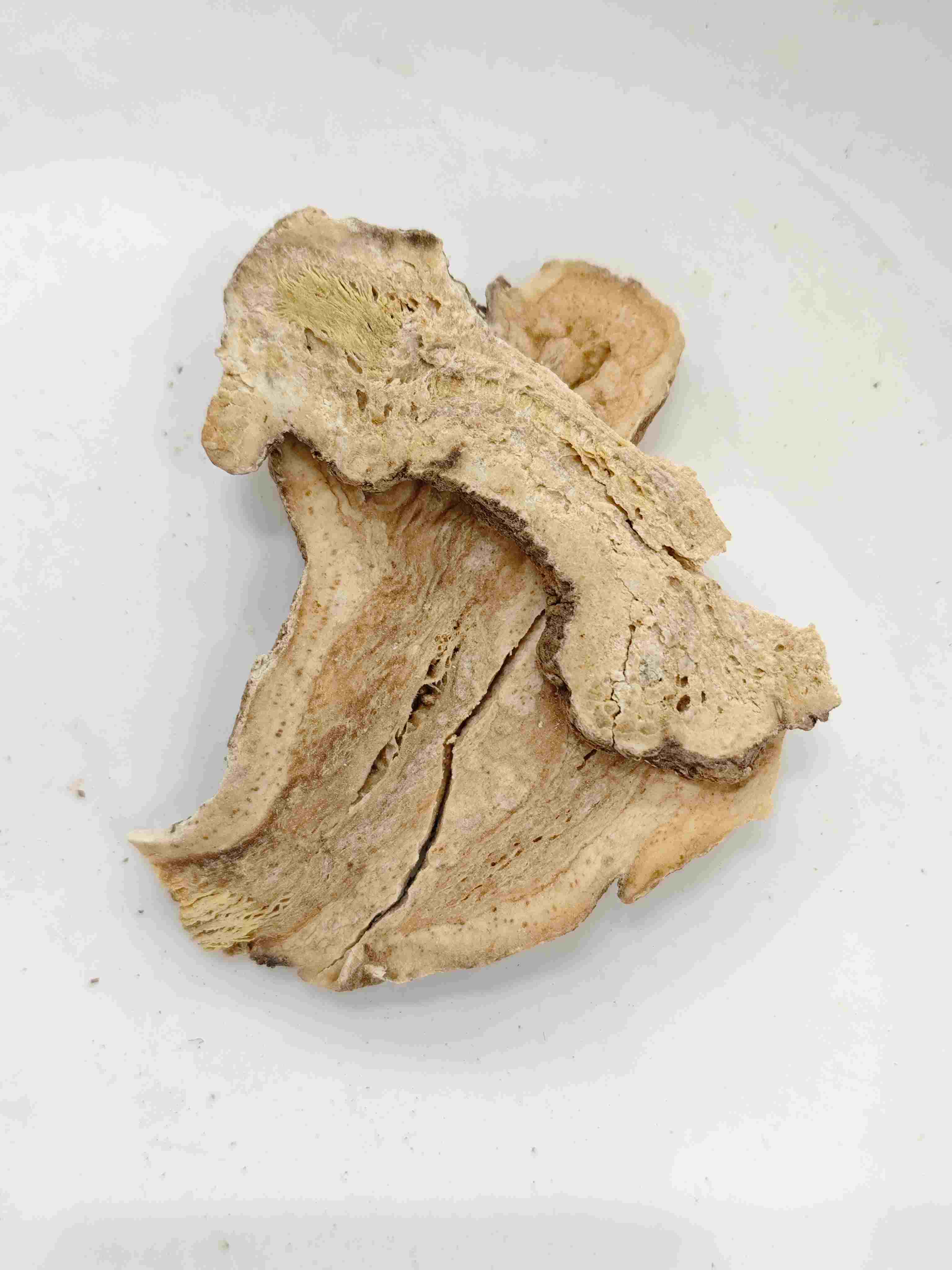 Atractylodes Rizome (Sheng Baizhu)