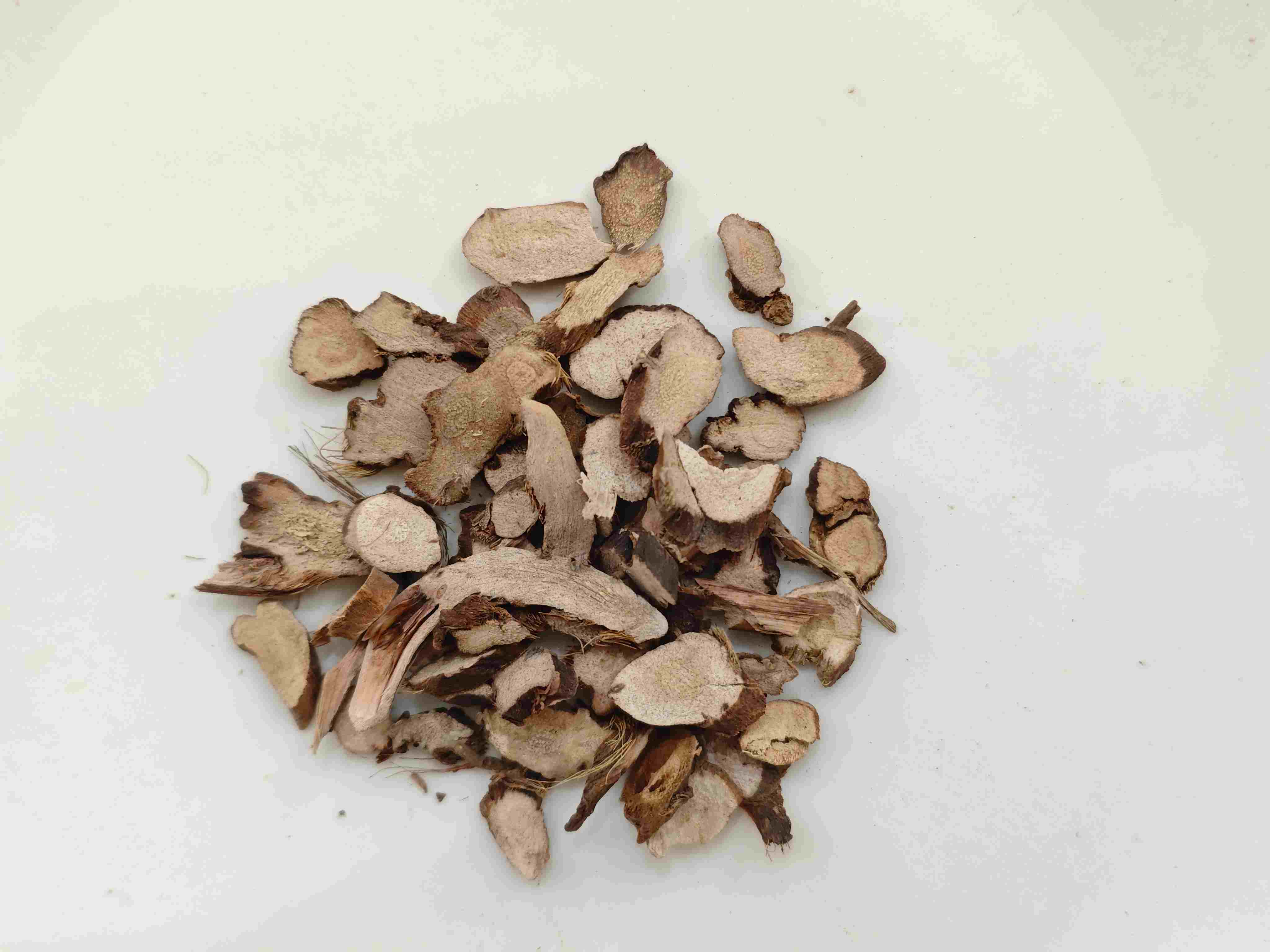 Calamus Rimpu (Shichangpu)