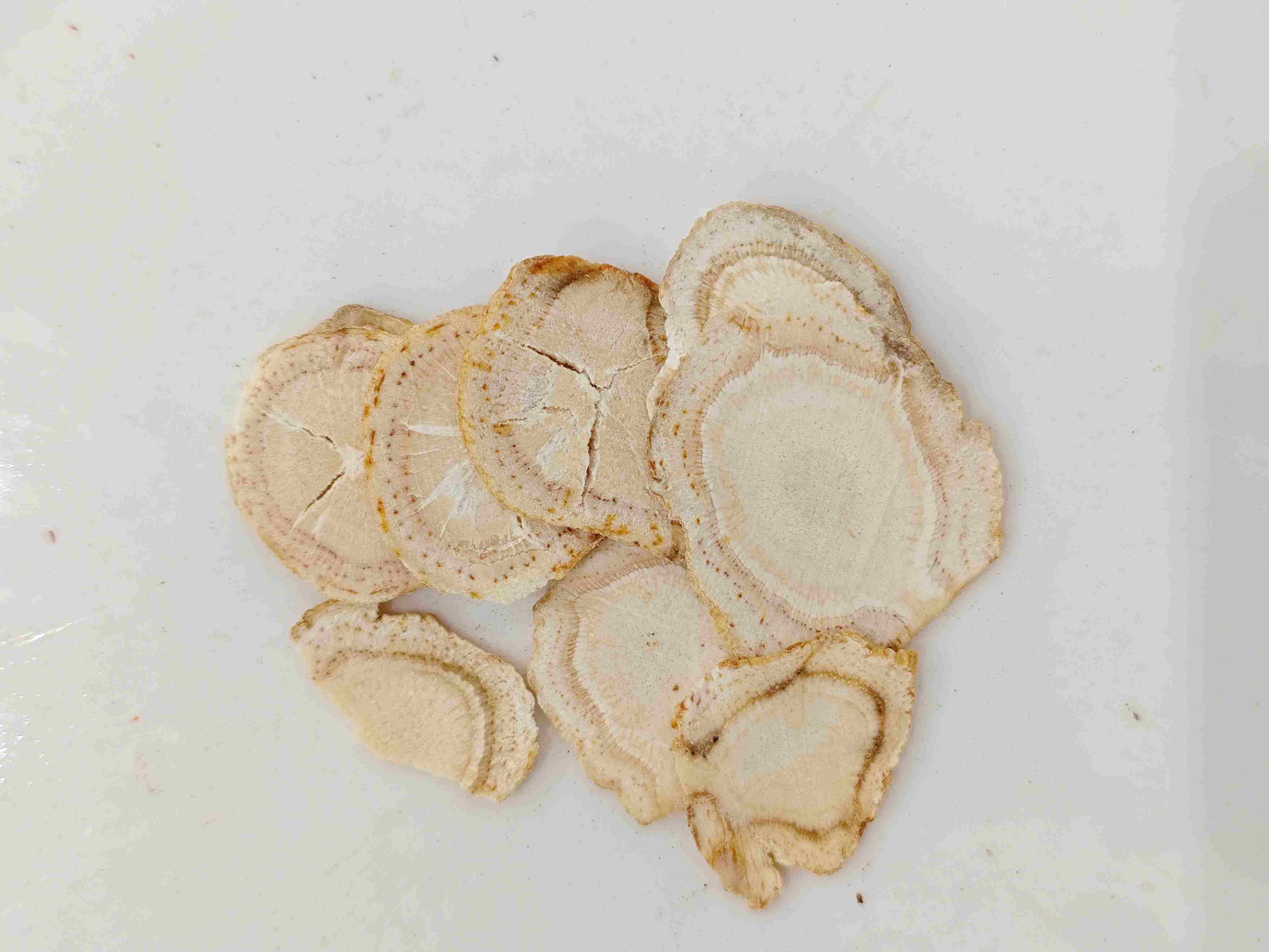 Ginseng Amerika (Xiyangshen)