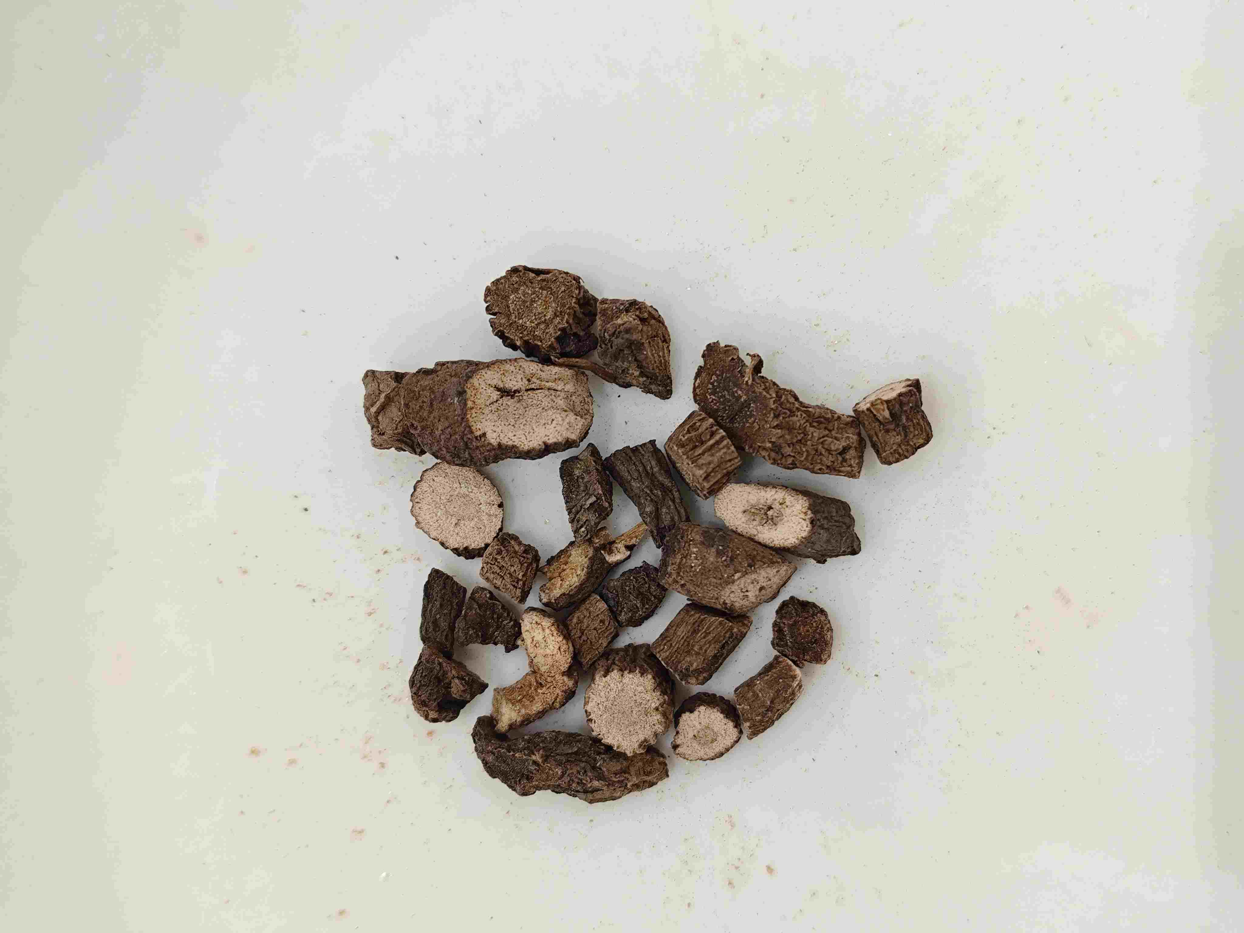 Rimpang Curculigo (Xianmao)