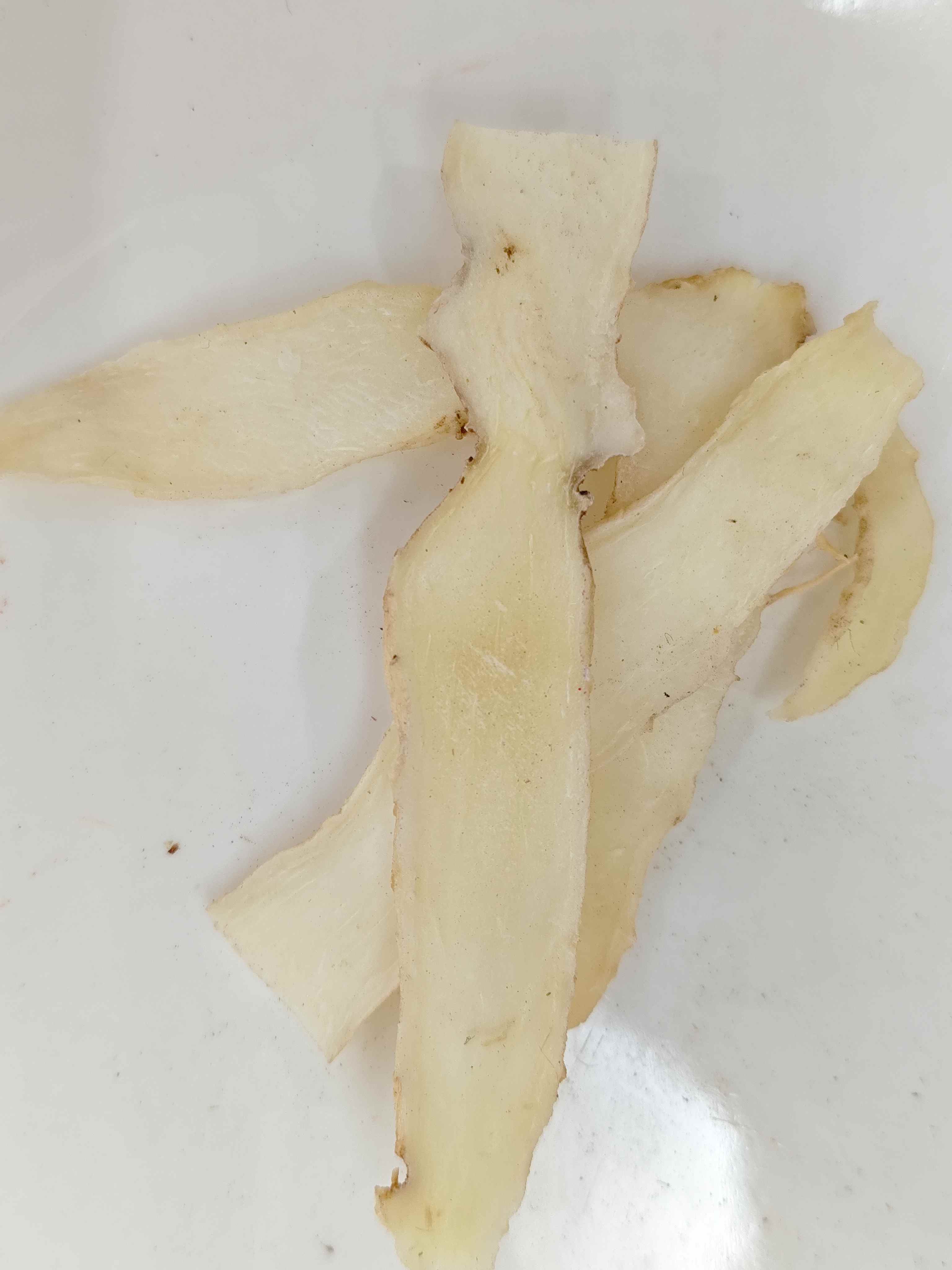 Salomo Salomo (Yuzhu)