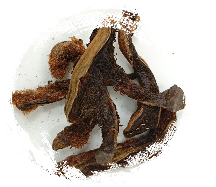 Perbaikan fragmen tulang