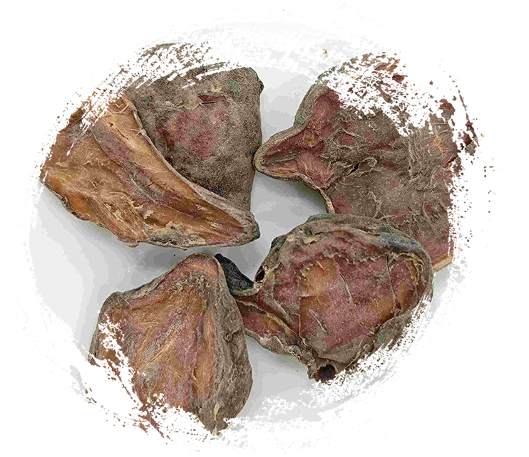 Slice aconite yang disiapkan, paofupian