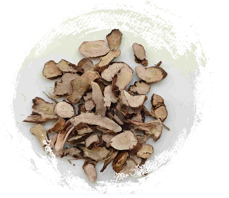 Calamus Rimpu (Shichangpu)