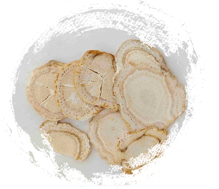 Menjelajahi Kekuatan Pengobatan Tradisional Tiongkok dengan Tanaman TCM