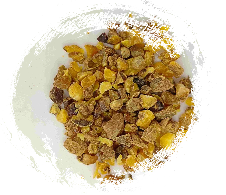 Rimpang Corydalis (Yanhusuo)