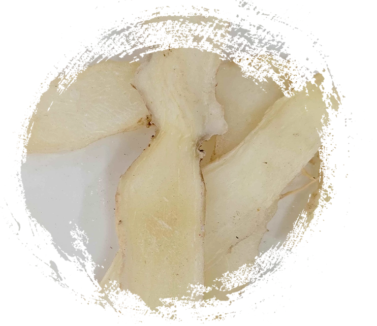 Salomo Salomo (Yuzhu)