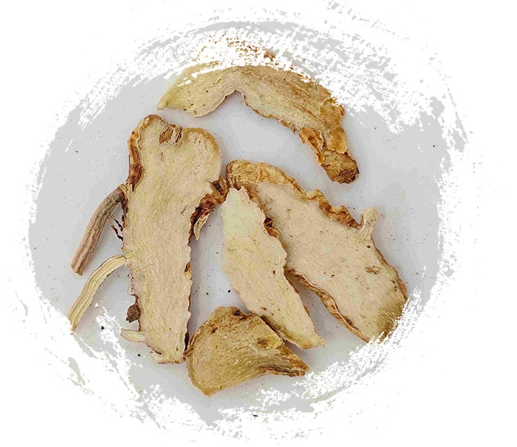 Anemarrhena rimpang (zhimu)