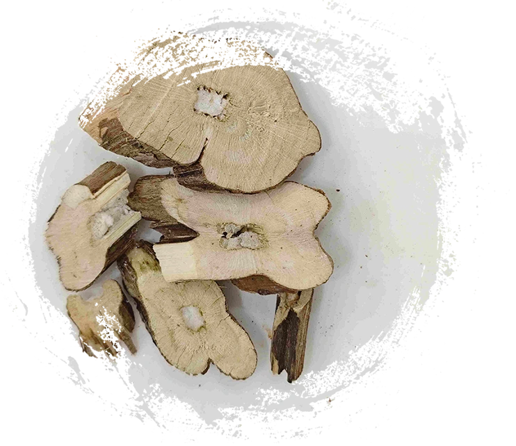 Batang perilla (zisugeng)