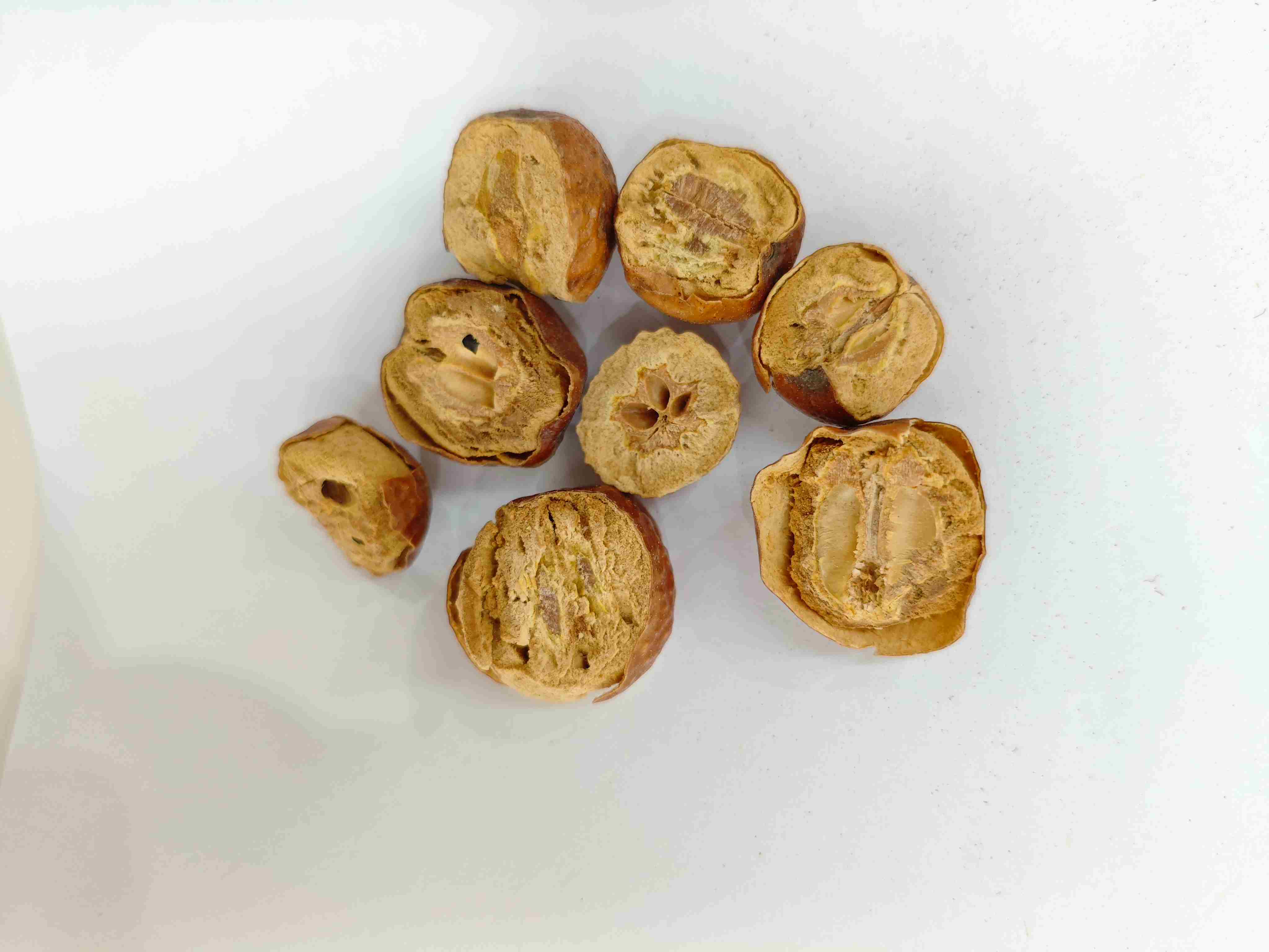 Buah Toosendan (Chuān Li&aacute;n Zǐ)