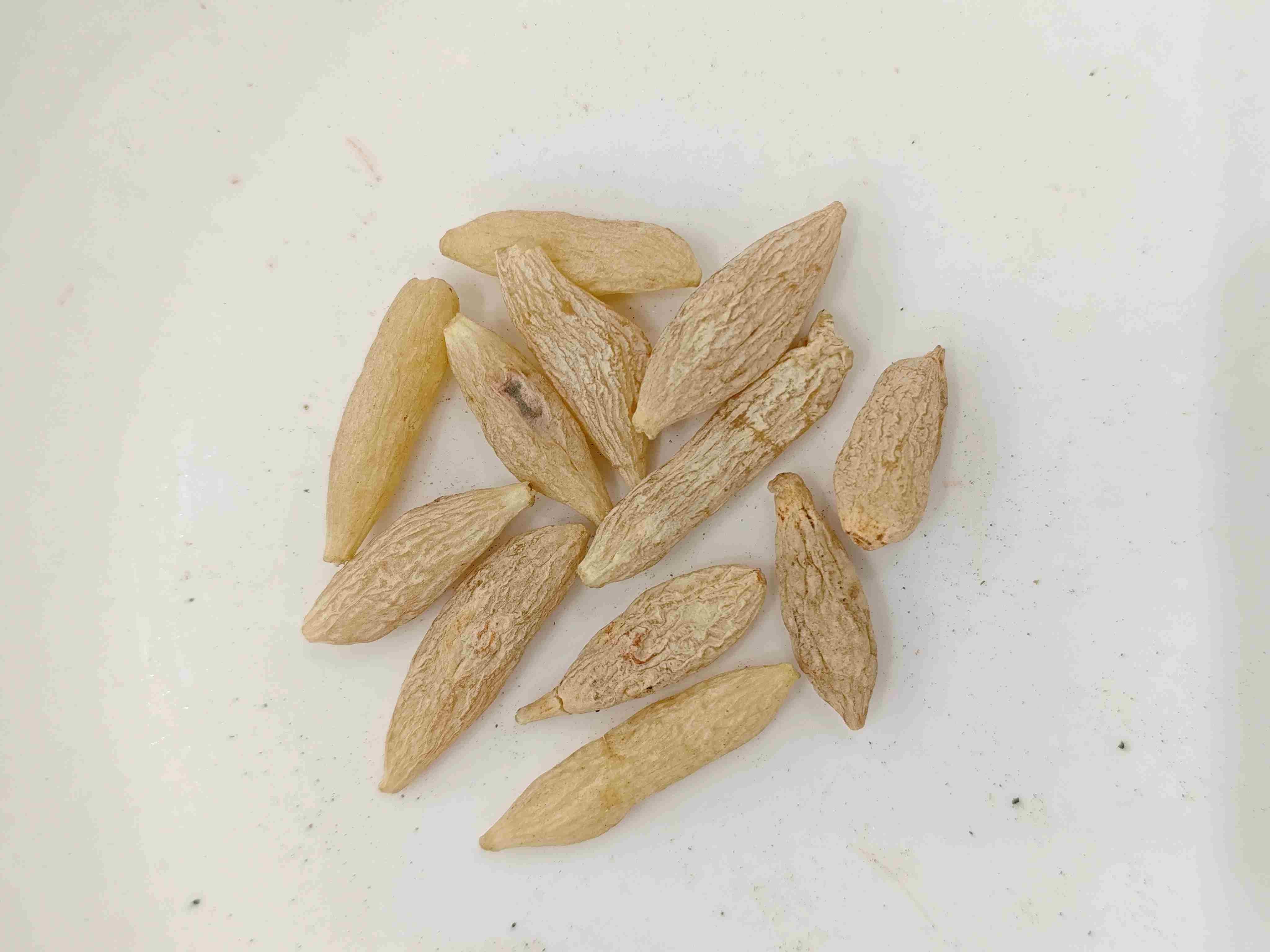 Ophiopogon tuberosus (m&agrave;idōng)