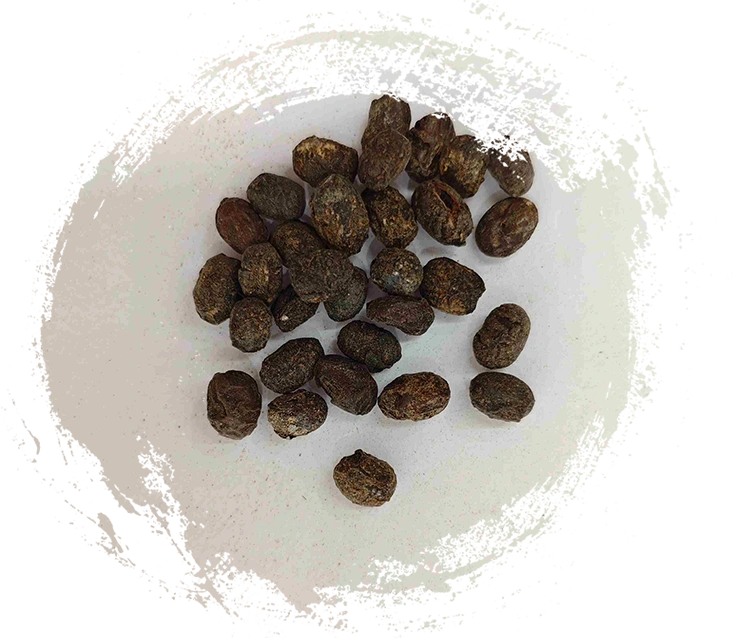 Kedelai fermentasi (dàn dòu chǐ)