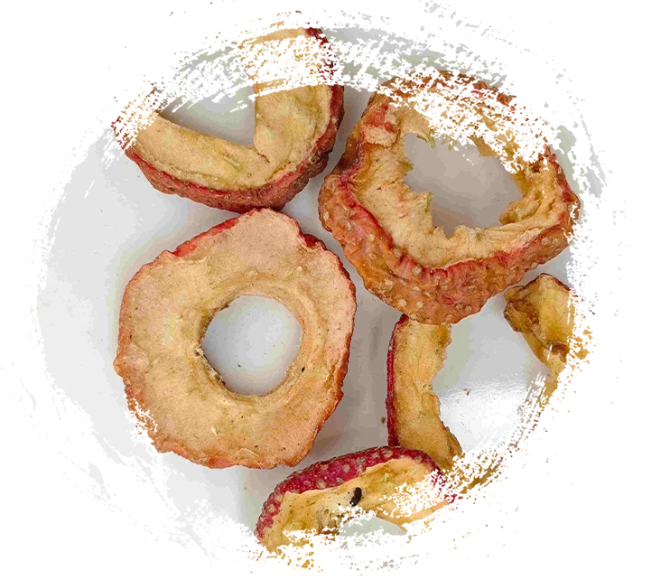 Memahami fungsi tanaman herbal dalam pengobatan Cina tradisional