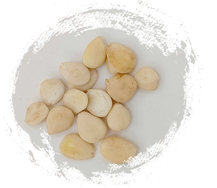 Mengintegrasikan Tanaman TCM ke dalam Rutinitas Kesehatan Anda: Kiat Praktis dan Manfaatnya