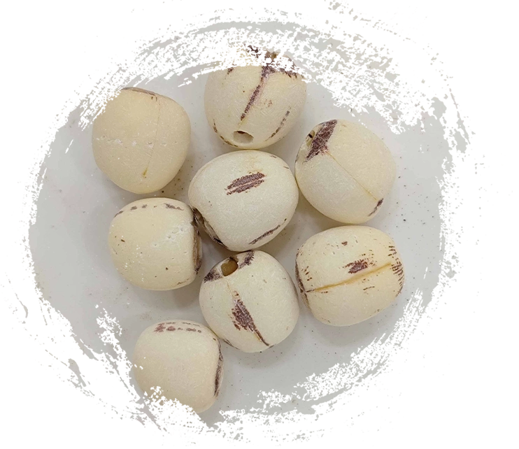 Biji Teratai (Liánzǐ)