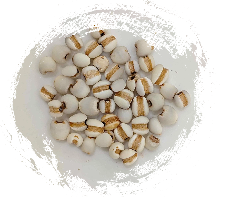 Coix seed (yìyǐrén)