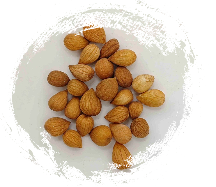 Prunus Seed (yù lǐ rén)