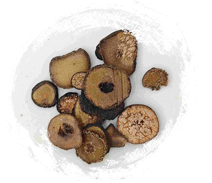 Oranye pahit yang belum matang (zhǐshí)