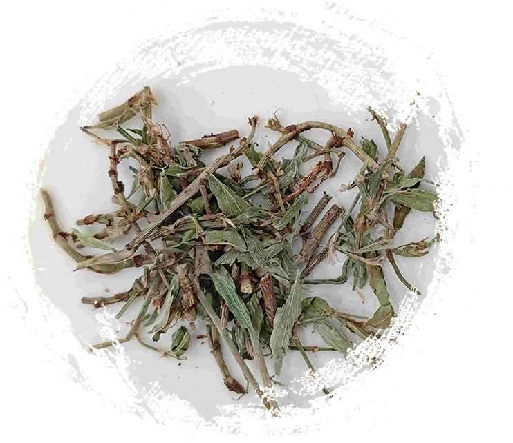 Dogwood Herb / Knotgrass (Piān Xù)