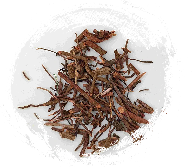 Root root (qiàncǎo)