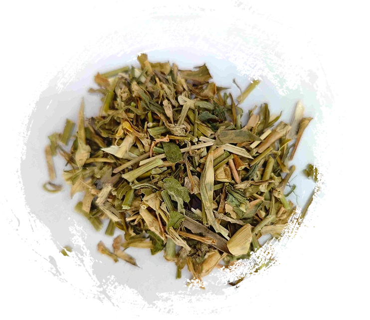 Bellflower Cina (Qúmài)