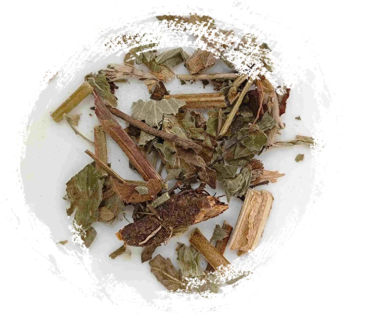 Herba Agrimoniae (xiānhè cǎo)