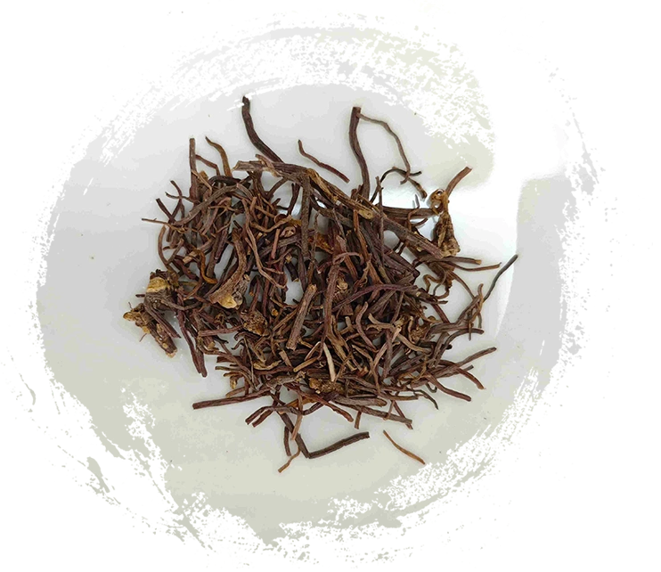 Panduan Penting Pengobatan Tradisional Tiongkok: Fitur, Fungsi, dan Solusi Holistik