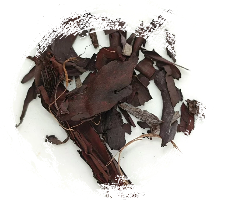 Cara Kerja Pengobatan Herbal Tiongkok: Prinsip, Mekanisme, dan Aplikasi Praktis