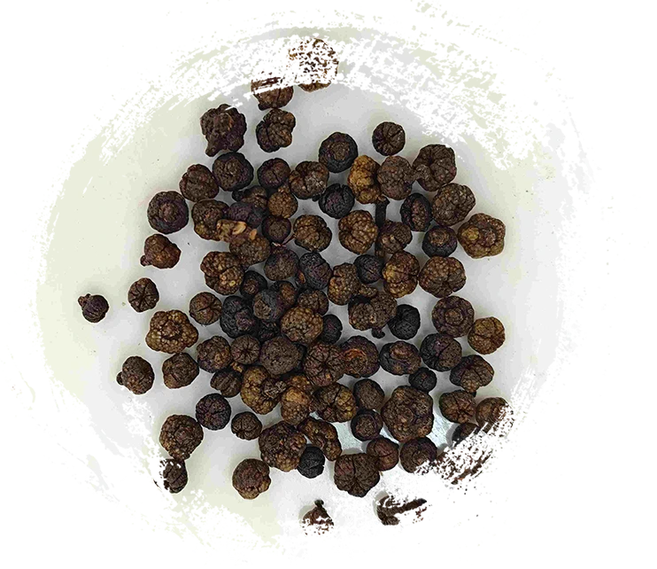 Buah evodia olahan (Zhì wúzhūyú)