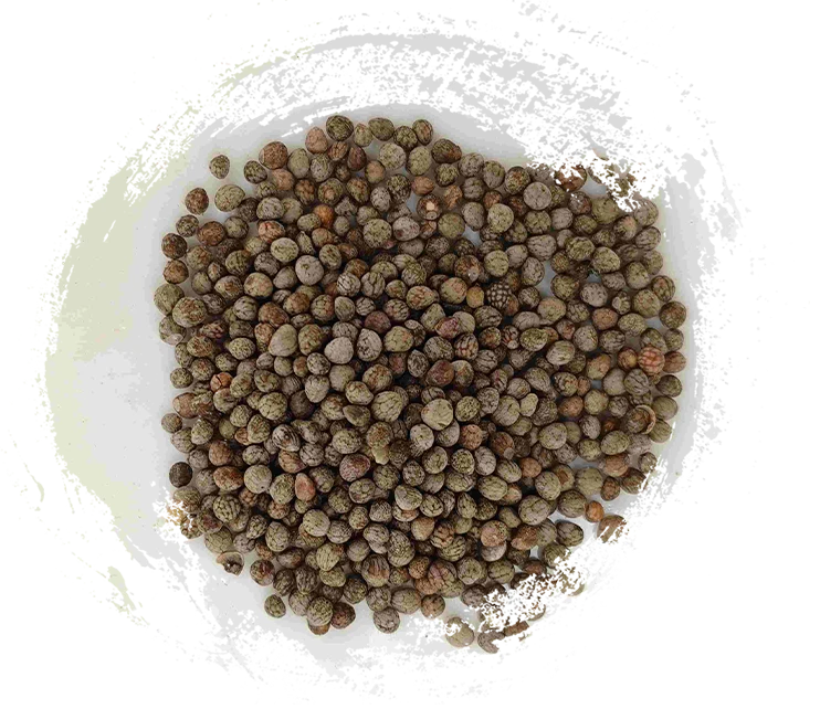 Biji perilla (zǐsūzǐ)