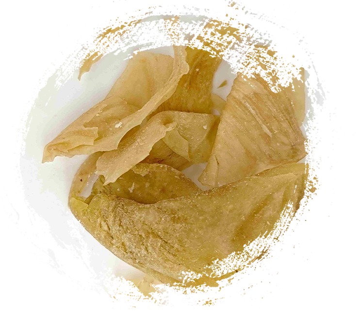 Kegunaan Utama dan Peran Terapi Zat Obat Tradisional Tiongkok (TCM) Berbasis Hewan