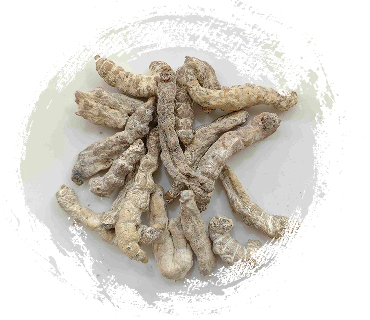 Kaku sutra kaku (Jiāngcán)