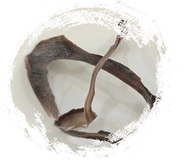 Water Buffalo Horn (Shuǐniújiǎo)