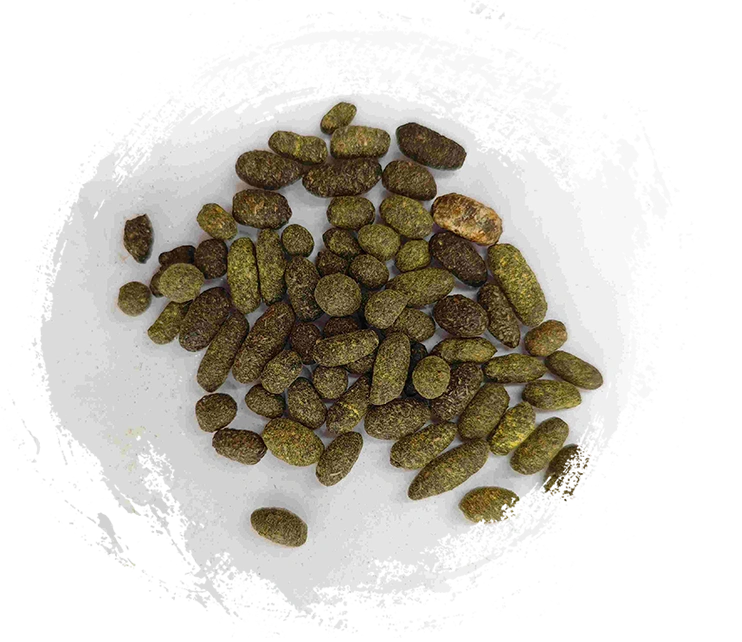 Resin pohon pernis (wǔlíngzhī)