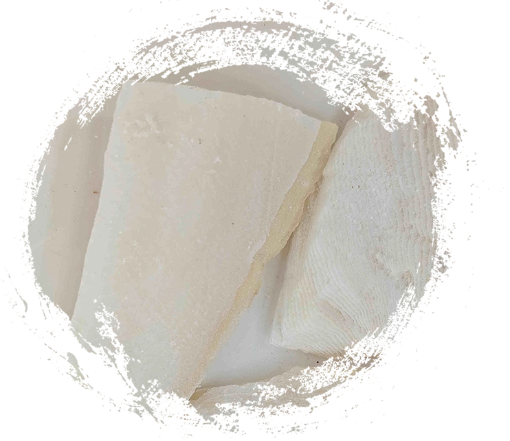 Cumi -cumi (hǎipiāoxiāo)