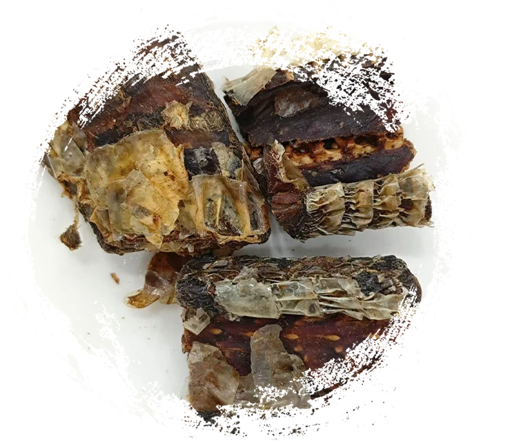 Ular Black-Zigzag yang diproses anggur (Jiǔ Wūshāo Shé)