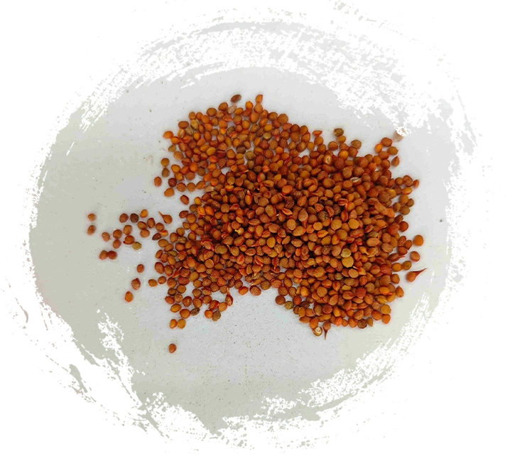 Fitur Apa Saja yang Perlu Anda Cari pada Obat Mineral Tradisional Tiongkok Berkualitas Tinggi?