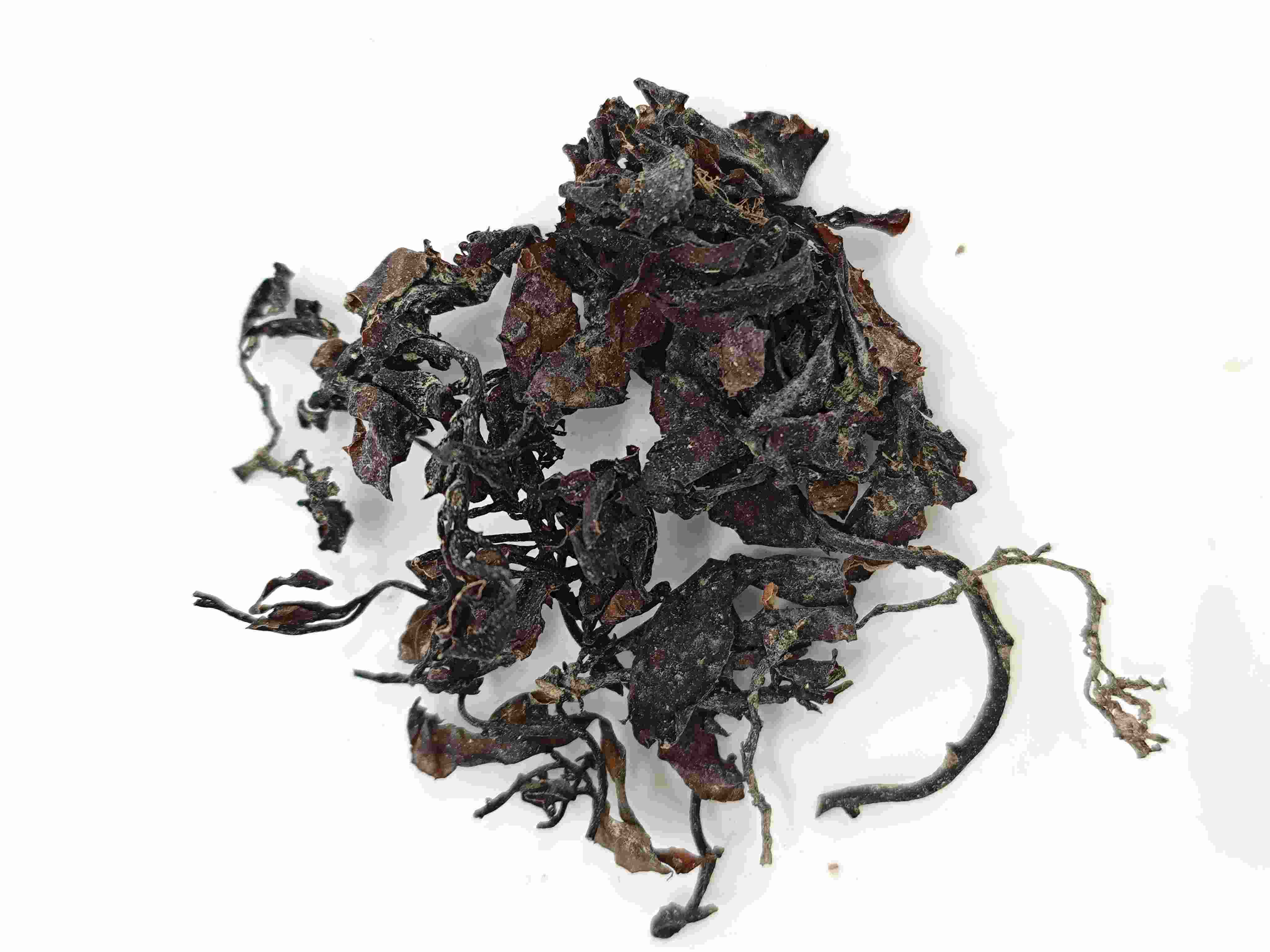 Rumput laut (hǎizǎo)