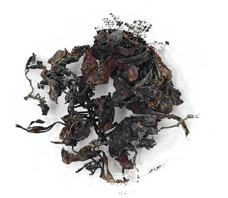 Rumput laut (hǎizǎo)